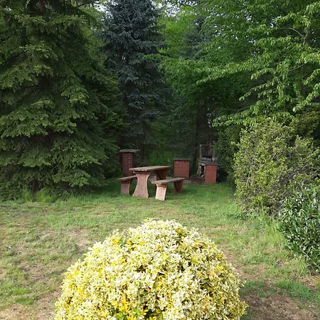 Zur Erholung&restaurant Amme's